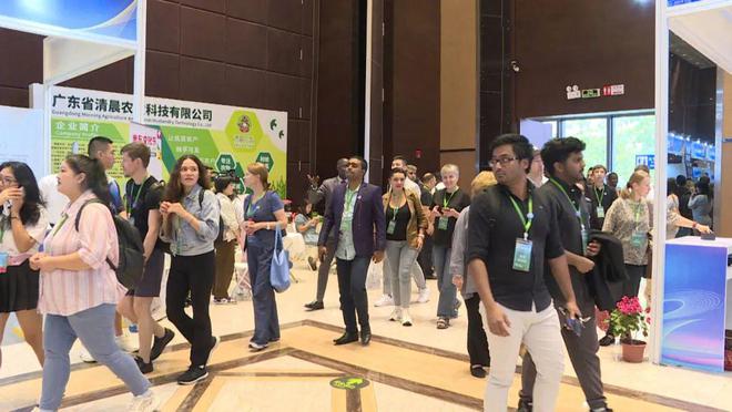 优服务 推动惠东女鞋走向全球AG真人国际惠东：强品牌(图4)