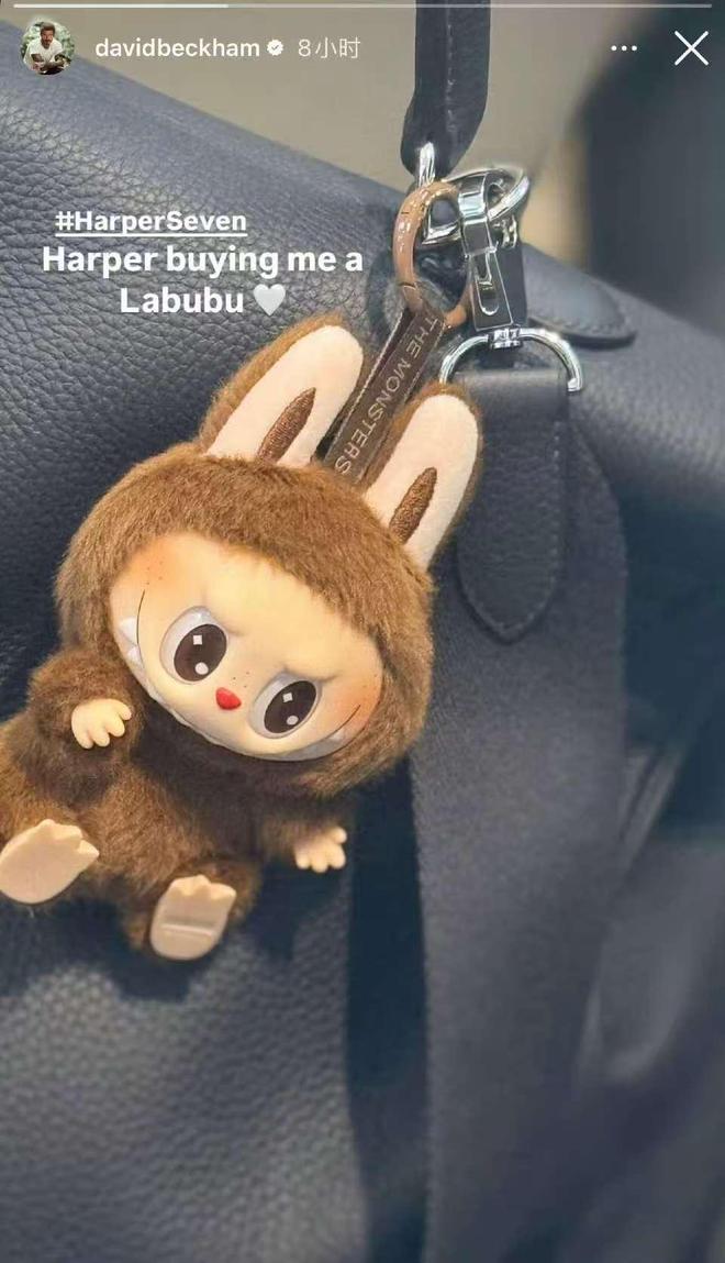 20万买货“辣布布”们蹭流量暴富AG真人Labubu爆火粉丝花(图3)